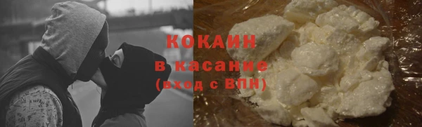 молекула духа Фёдоровский