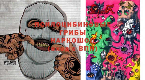 бошки Корсаков