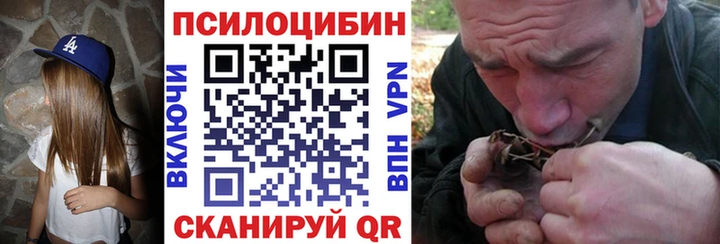 Галлюциногенные грибы Cubensis  Купить где  Покров 
